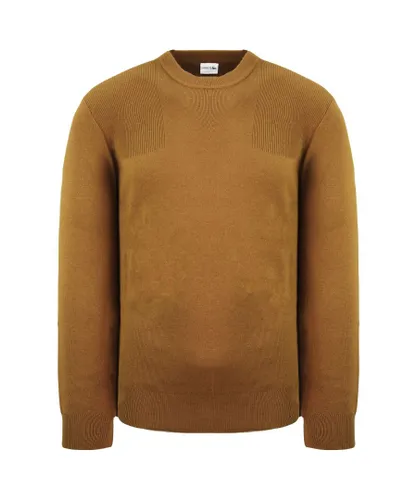 Lacoste Plain Mens Brown Sweater Wool (archived)