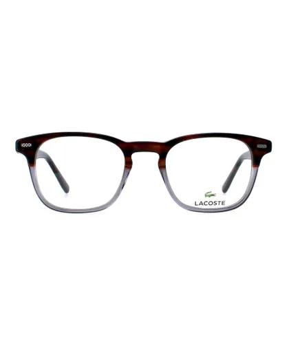 Lacoste Square Unisex Brown Grey Glasses - One Size