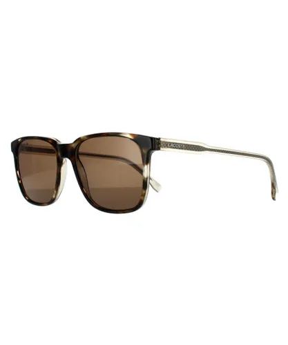 Lacoste Square Unisex Havana Brown Sunglasses - One