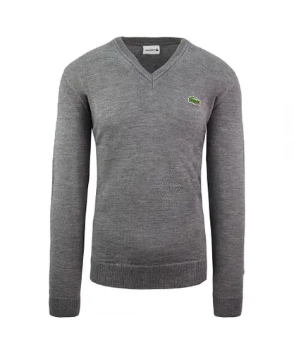 Lacoste Wool Mens Grey Sweater