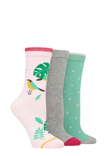 Ladies 3 Pair SOCKSHOP Wildfeet Cotton Novelty Patterned Socks Tropic Bird 4-8 Ladies