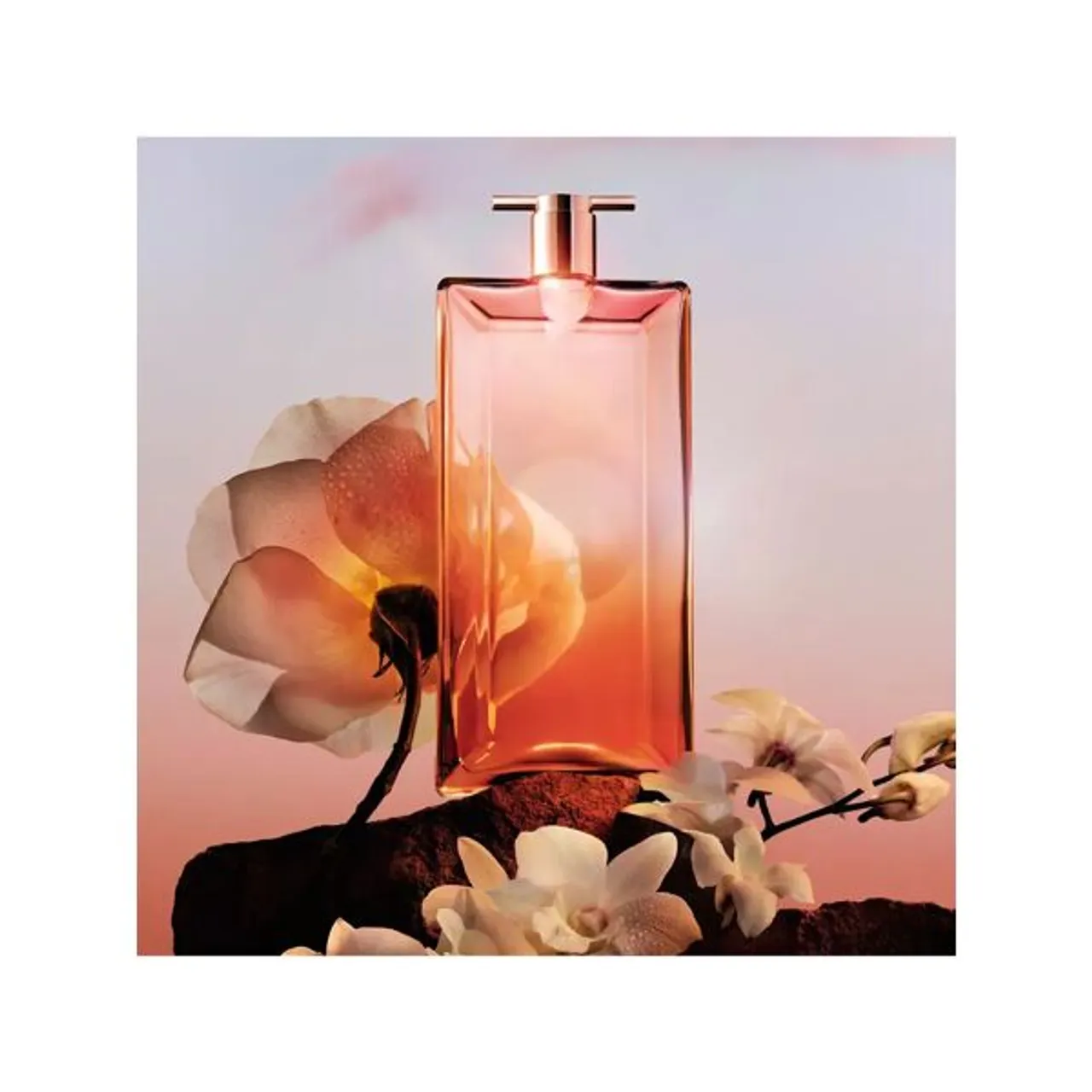 LancÃ´me IdÃ´le Now Eau de Parfum - Female - Size: 25ml