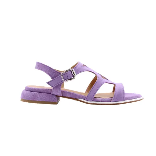Laura Bellariva , Flat Sandals ,Purple female, Sizes:
