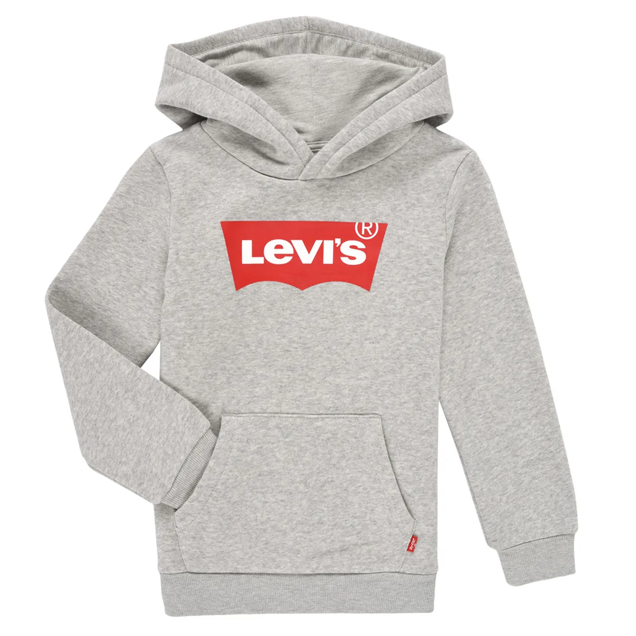 Levis  BATWING SCREENPRINT HOODIE  boys's Children's sweatshirt in Grey