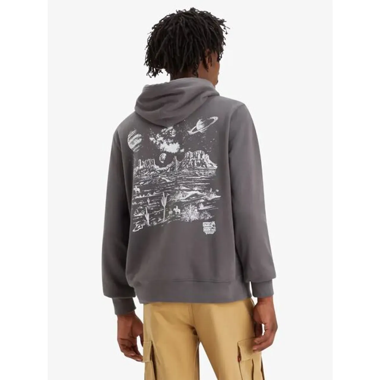 Levi's Fit Graphic Hoodie, Grey/Multi - Grey/Multi - Male