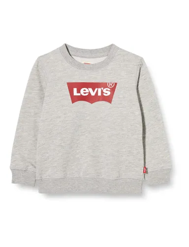 Levi's Kids Batwing Crewneck Sweatshirt Baby Boys