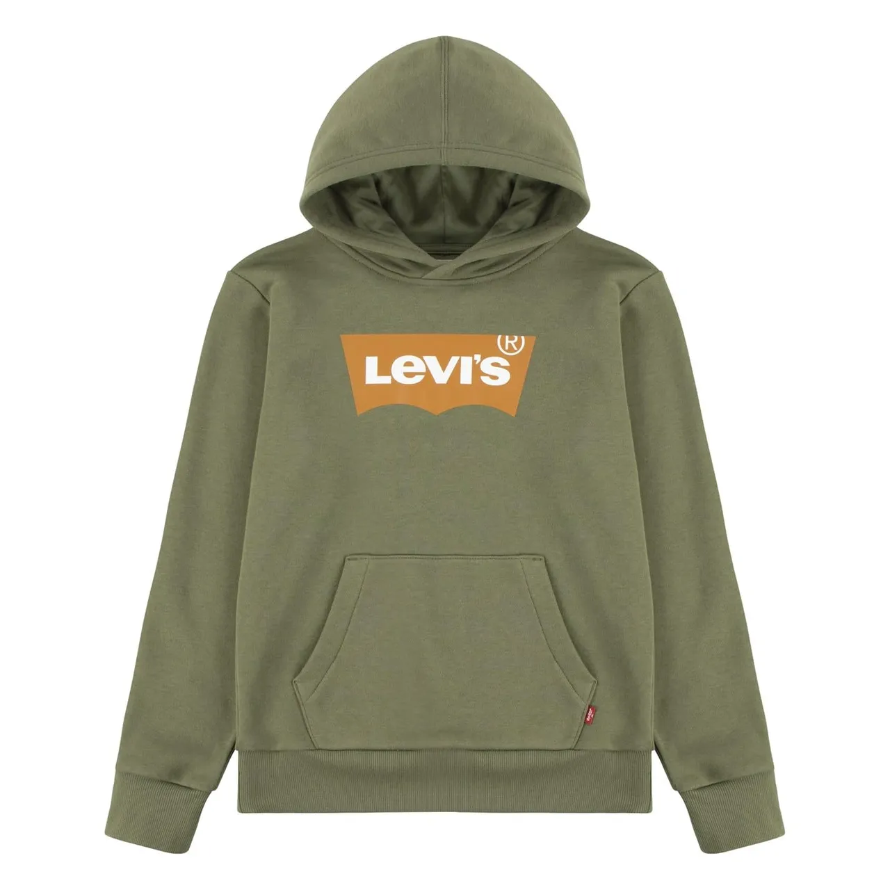 Levi's Kids Lvb batwing screenprint hoodie Boys Olivine