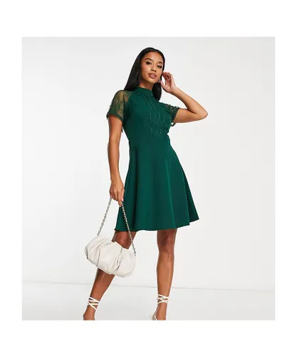 Liquorish Womens Petite a line lace detail mini dress in emerald-Green