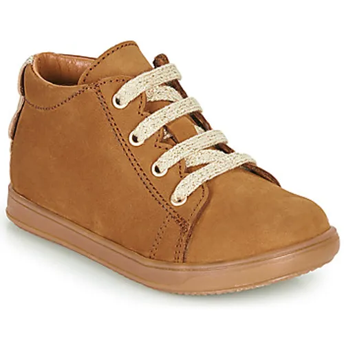 Little Mary  CLELIE  girls's Children's Shoes (Trainers) in Brown