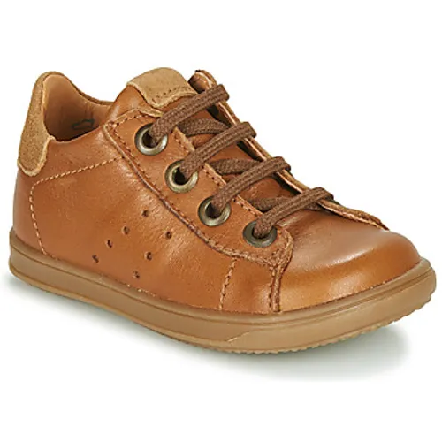 Little Mary  DUSTIN  boys's Children's Shoes (Trainers) in Brown