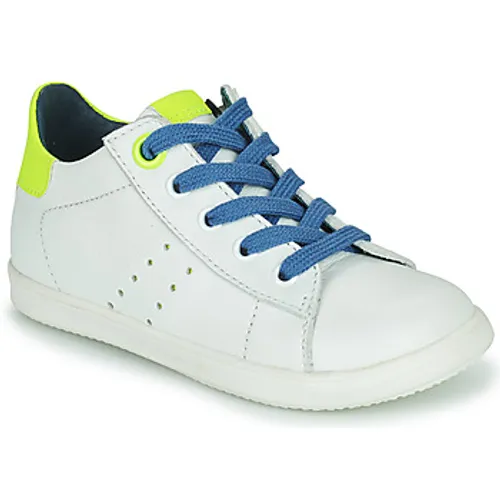 Little Mary  DUSTIN  boys's Children's Shoes (Trainers) in White