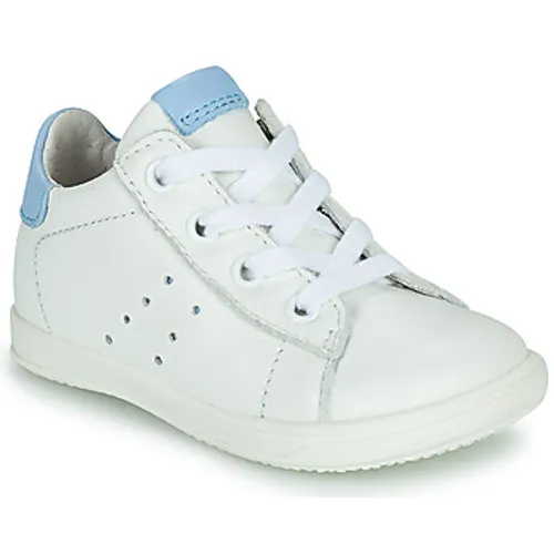 Little Mary  DUSTIN  boys's Children's Shoes (Trainers) in White