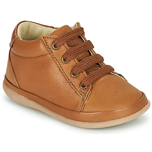 Little Mary  GAMBARDE  boys's Children's Shoes (High-top Trainers) in Brown