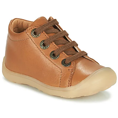 Little Mary  GOOD  boys's Children's Shoes (High-top Trainers) in Brown