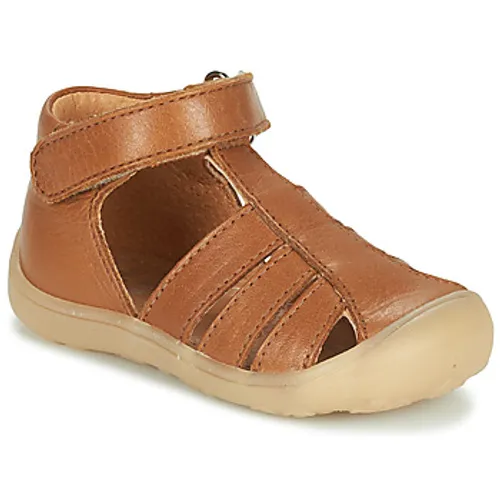 Little Mary  LETTY  boys's Children's Sandals in Brown