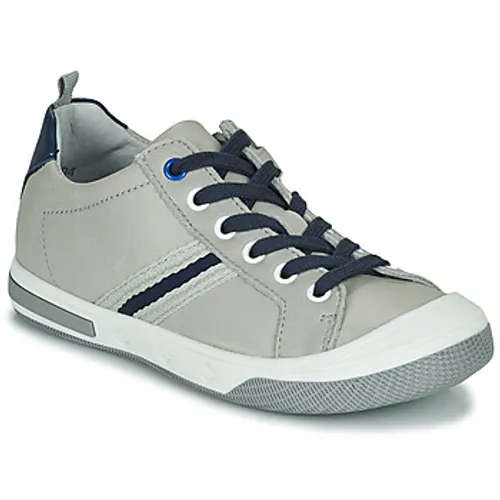 Little Mary  LOGAN  boys's Children's Shoes (Trainers) in Grey