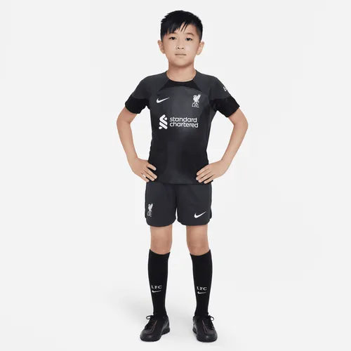 Liverpool F.C. 2022/23 Goalkeeper Younger Kids' Football Kit - Grey