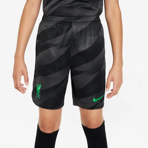 Liverpool F.C. 2023/24 Stadium Goalkeeper Older Kids' Nike Dri-FIT Football Shorts - Grey - Polyester