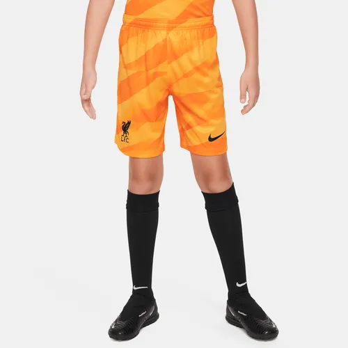 Liverpool F.C. 2023/24 Stadium Goalkeeper Older Kids' Nike Dri-FIT Football Shorts - Yellow - Polyester