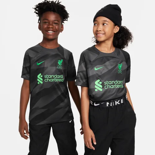 Liverpool F.C. 2023/24 Stadium Goalkeeper Older Kids' Nike Dri-FIT Short-Sleeve Football Shirt - Grey - Polyester