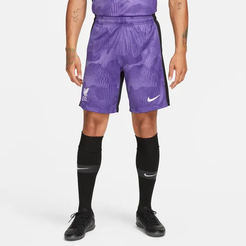 Liverpool F.C. 2023/24 Stadium Third Men's Nike Dri-FIT Football Shorts - Purple - Polyester