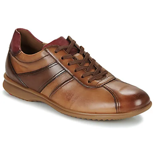 Lloyd  DAVOS  men's Shoes (Trainers) in Brown