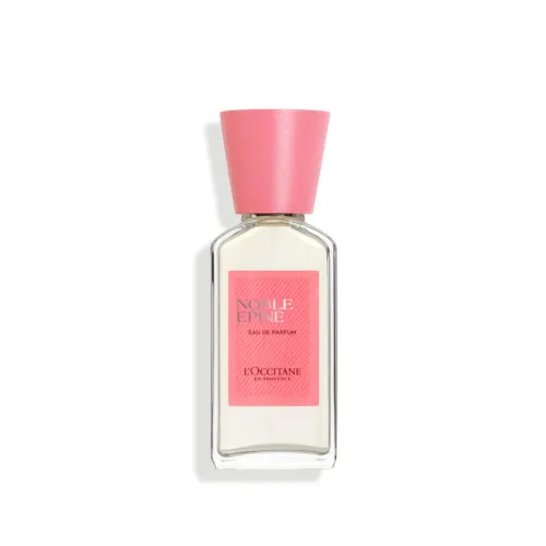 L'OCCITANE Noble Épine Eau de Parfum 50ml | Amazon