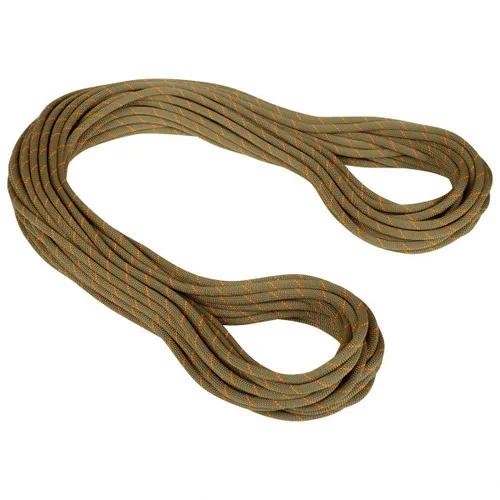 Mammut - 9.9 Gym Workhorse Classic Rope - Single rope size 30 m, brown