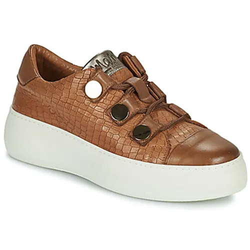 Mam'Zelle  Camil  women's Shoes (Trainers) in Brown