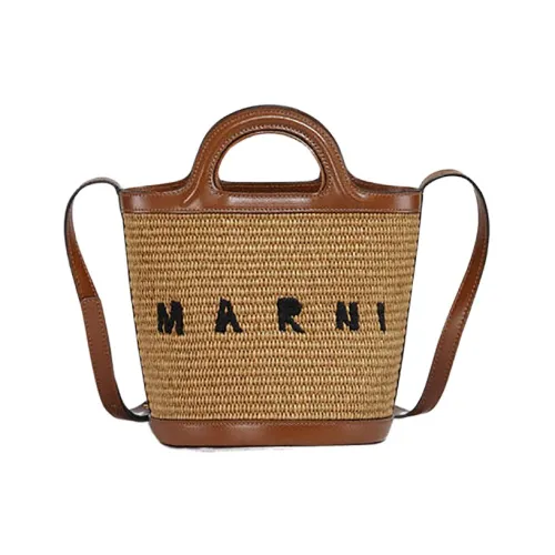 Marni , Handbag Borsa A Mano SAC ,Brown female, Sizes: ONE SIZE