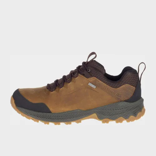 Men's Forestbound Walking Shoe - Brown, Brown