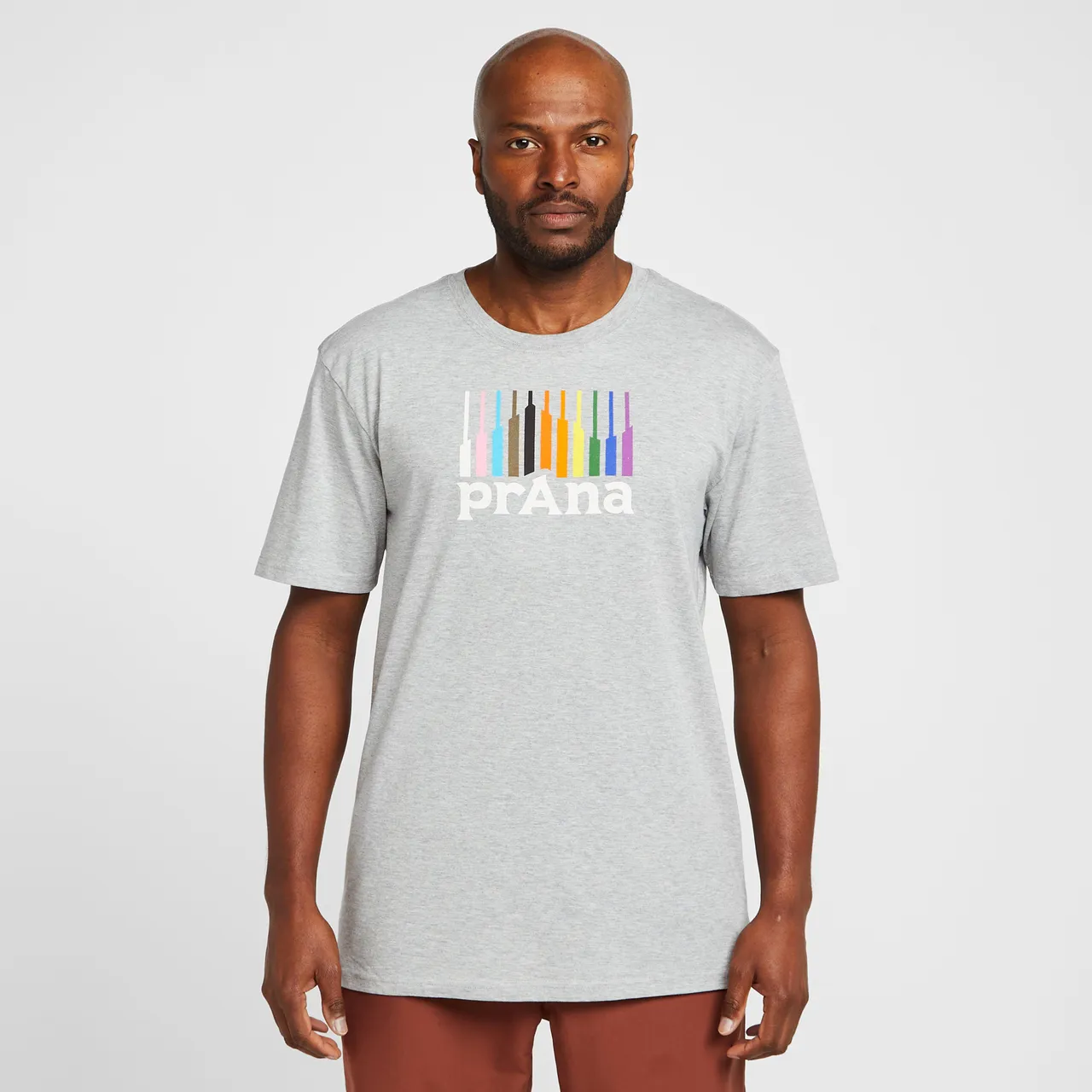 Men's Pride Mountain T-Shirt, Grey