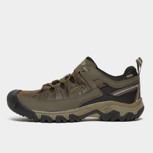 Men's Targhee III Waterproof Shoe, Brown