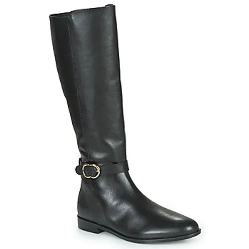 Minelli  SELIRA  women's High Boots in Black