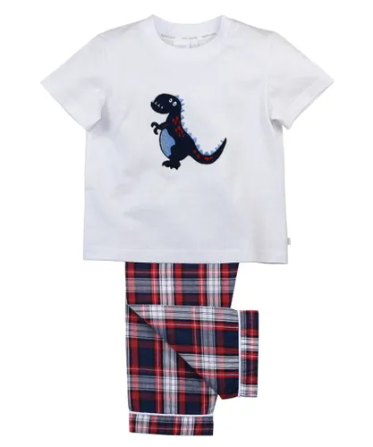 Mini Vanilla Boys' Cute Dino Summer Cotton Pyjamas - Red