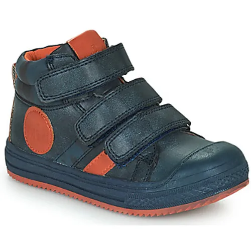 Mod'8  TALYE  boys's Children's Shoes (High-top Trainers) in Blue