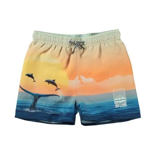 Molo , 8S24P403 SEA Shorts ,Multicolor male, Sizes: