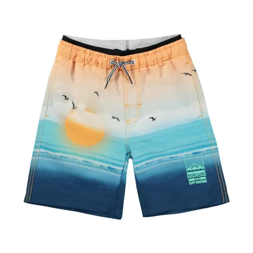 Molo , 8S24P406 SEA Shorts ,Multicolor male, Sizes: