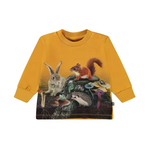 Molo , Forest Print Long Sleeve T-Shirt ,Yellow male, Sizes: