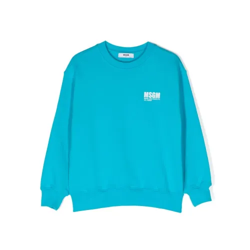 Msgm , Light Blue Sweater with Logo Print ,Blue male, Sizes: