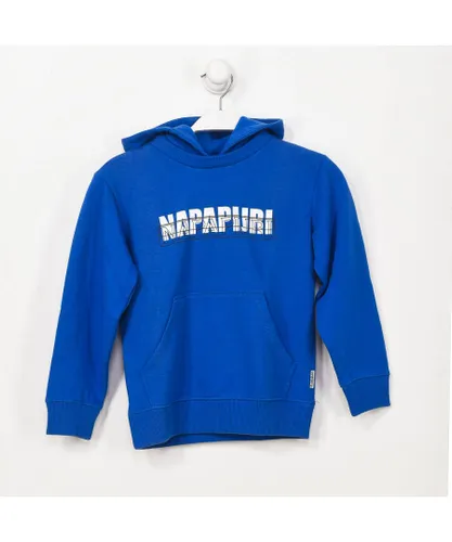 Napapijri Boys GA4EPX boy's long-sleeved hoodie - Blue
