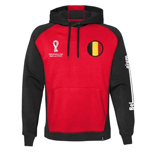 Official FIFA World Cup 2022 Overhead Hoodie