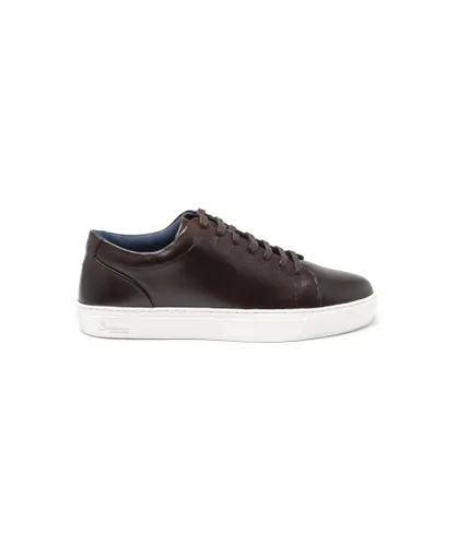 Oliver Sweeney Mens London Hayle Trainers - Brown Leather