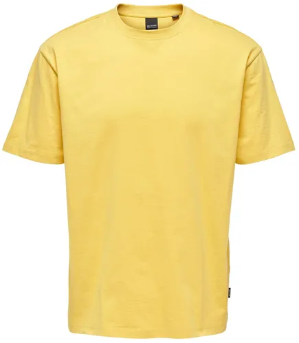 Only & Sons Brown / Ochre Relaxed Fit O-Neck T-Shirt