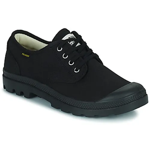 Palladium  PAMPA OXFORD ORIGINALE  men's Shoes (High-top Trainers) in Black