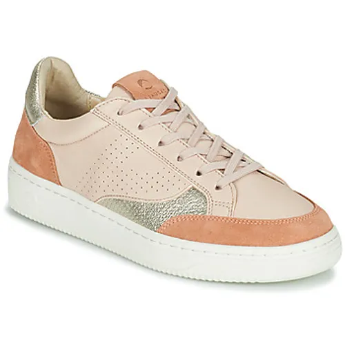 Pataugas  BASALT  women's Shoes (Trainers) in Pink