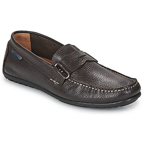 Pellet  NECO  men's Loafers / Casual Shoes in Brown