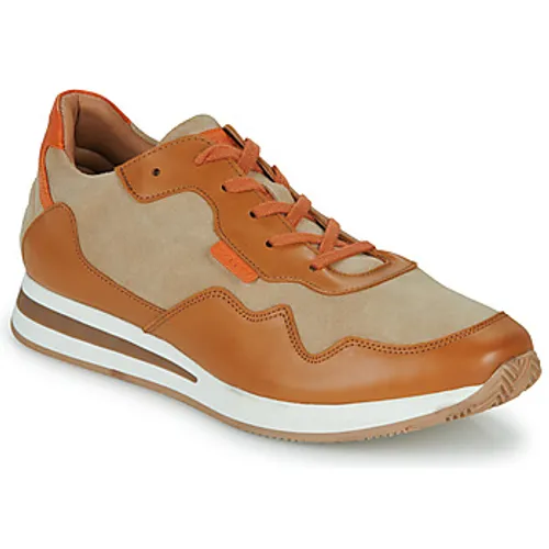 Pellet  SENNA  men's Shoes (Trainers) in Brown