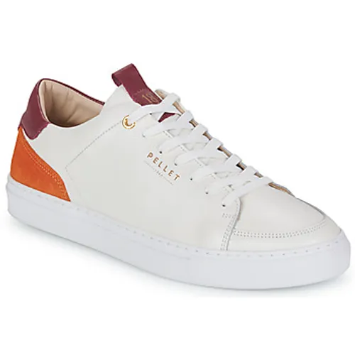 Pellet  SIMON  men's Shoes (Trainers) in White