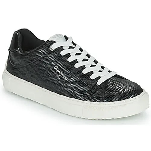 Pepe jeans  ADAMS COLLINS  women's Shoes (Trainers) in Black